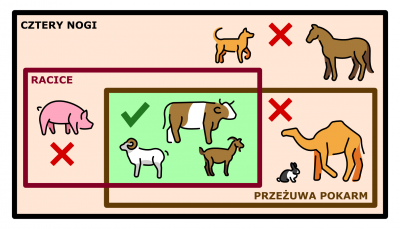 Zwierzęta czworonożne są koszerne, jeśli mają racice i przeżuwają pokarm.