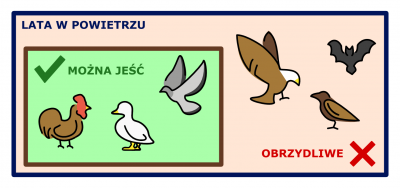 Latające kręgowce są koszerne, jeśli nie są drapieżne ani nie należą do innych rodzajów zakazanych.