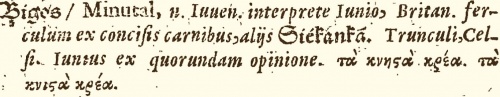 Bigos -- minutal, ferculum ex concisis carnibus, aliis siekanka