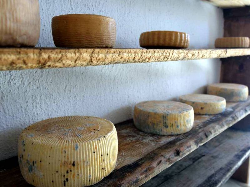 Plik:Sery cykladzkie.jpg